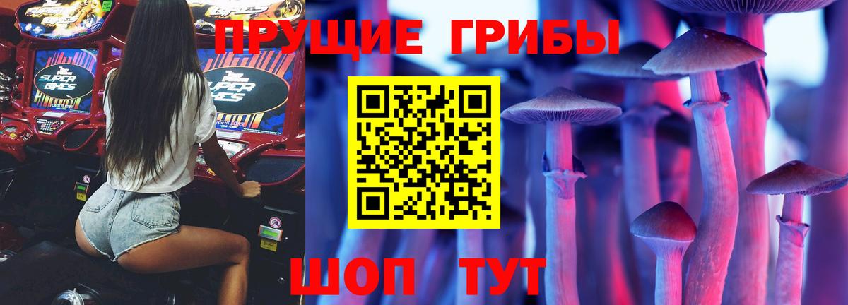 Псилоцибиновые грибы Psilocybine cubensis Ярцево