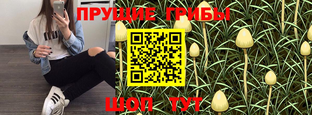 Ярцево  Галлюциногенные грибы мухоморы  Вход с VPN 